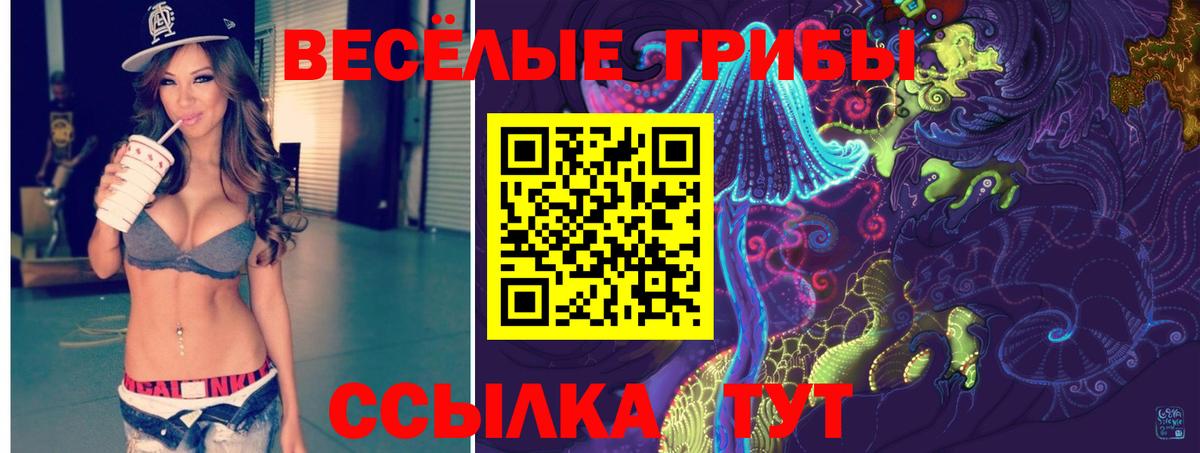 цены   Вход с VPN  Торжок  Галлюциногенные грибы Cubensis 
