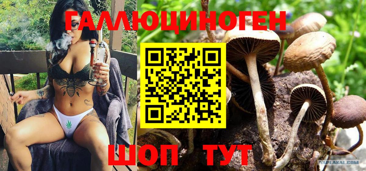Галлюциногенные грибы MAGIC MUSHROOMS Торжок