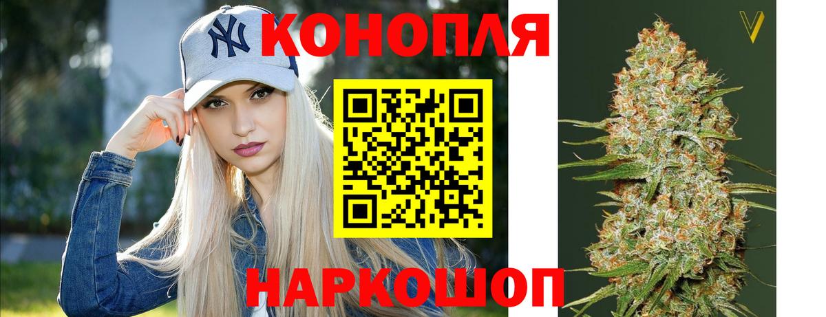 Каннабис планчик Торжок